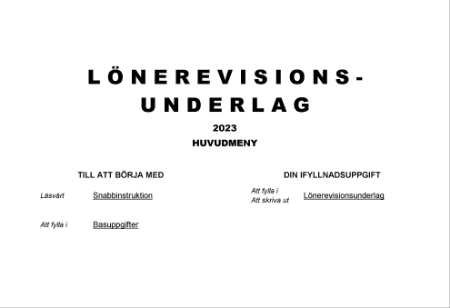 Lönerevisionsunderlag