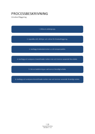 Processbeskrivning - Lönekartläggning