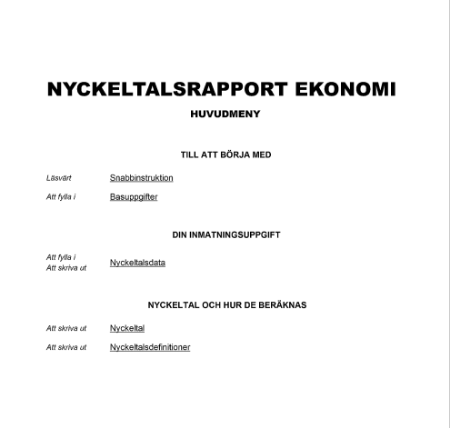 Nyckeltalsrapport Ekonomi 2024