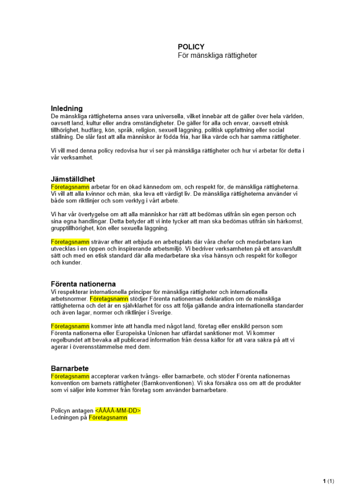 Policy för mänskliga rättigheter